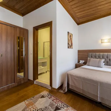 阿尔米思提斯酒店 2*