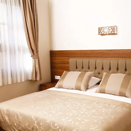 阿尔米思提斯酒店 2*