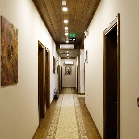 阿尔米思提斯酒店